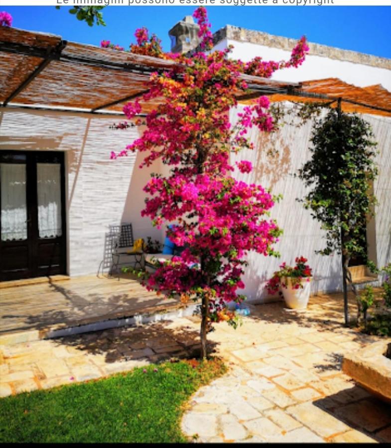 Room In Bb - Stunning Quadruple Room In Ancient Masseria Near The Sea In A Quiet Olive Trees 奥斯图尼 外观 照片