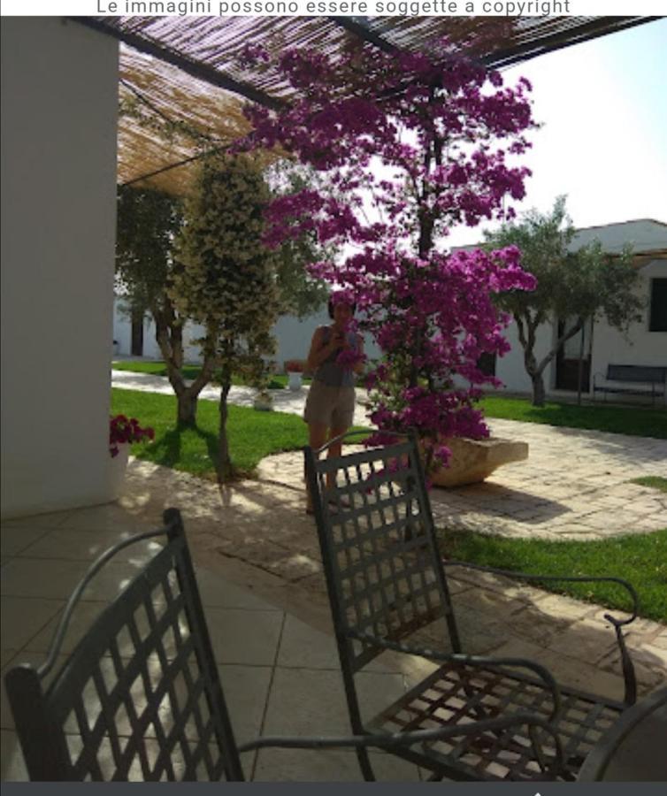 Room In Bb - Stunning Quadruple Room In Ancient Masseria Near The Sea In A Quiet Olive Trees 奥斯图尼 外观 照片