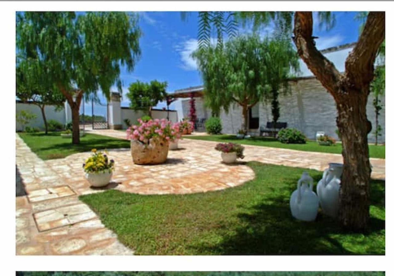 Room In Bb - Stunning Quadruple Room In Ancient Masseria Near The Sea In A Quiet Olive Trees 奥斯图尼 外观 照片