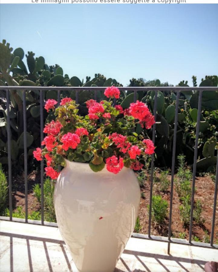 Room In Bb - Stunning Quadruple Room In Ancient Masseria Near The Sea In A Quiet Olive Trees 奥斯图尼 外观 照片